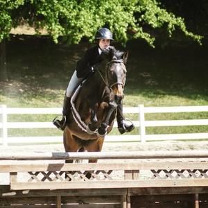 Meet your Posher, Reilly